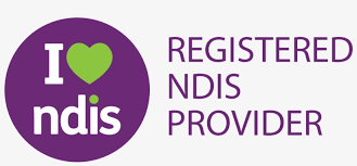 ndis ndis